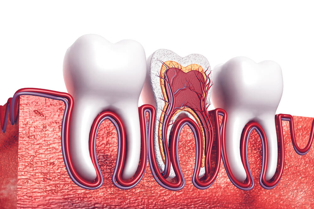 Những điều bạn cần biết về lấy tủy răng